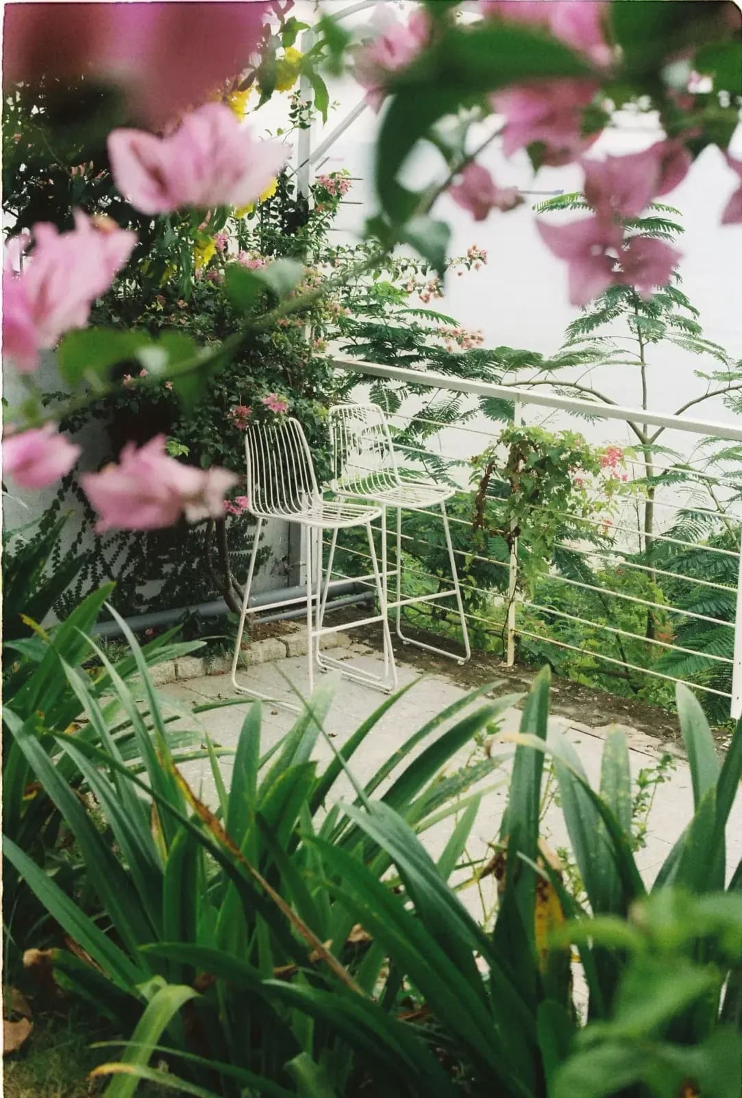 翠庭園 5